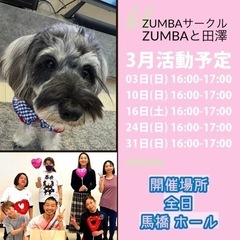 [松戸・馬橋・新松戸]ズンバサークル『ZUMBAと田澤』☆令和6...