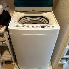 家電 生活家電 洗濯機