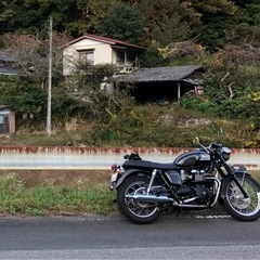 トライアンフ　ボンネビルの画像