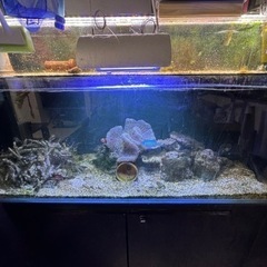 現在お話し中です