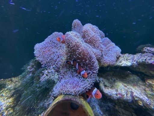 現在お話し中です