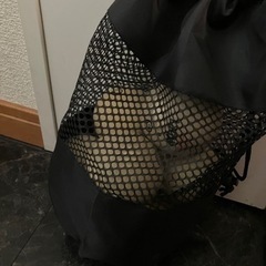 ソフトテニスボールセット