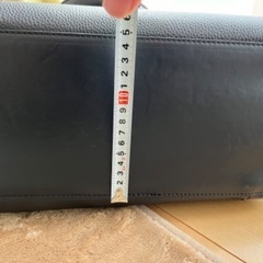 REGISTA バックの画像