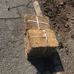 生活雑貨 家庭用品 ガーデニングの画像