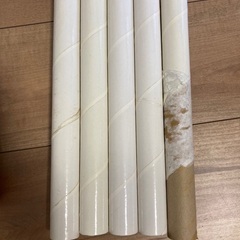 白いわんぱくジム　室内ジャングルジム　ジャングルジムの画像