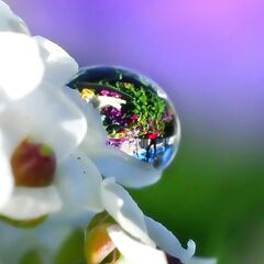 カメラに興味のある方　学びながらお散歩写真　（横浜・横須賀） - 友達