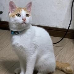 フミフミな男の子