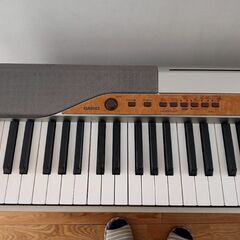 引取決定　電子ピアノ　CASIO Privia PX110の画像