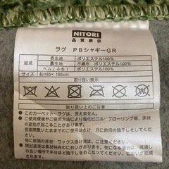 お話中です　ニトリ　シャギーラグの画像
