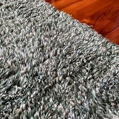 お話中です　ニトリ　シャギーラグの画像