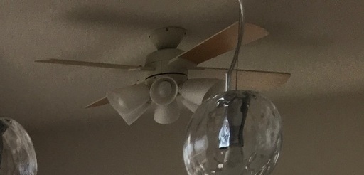 オーデリック　シーリングファン