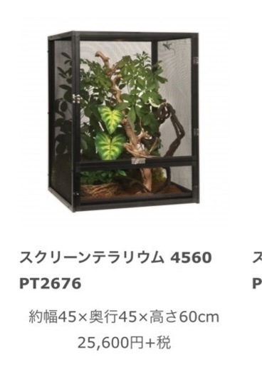 週末限定値下げ！爬虫類ケージ