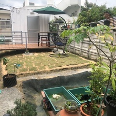 畑を手伝ってもらえる方(メンバー)求む − 沖縄県