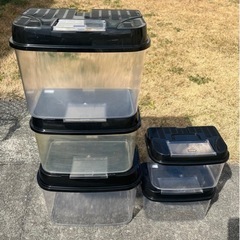 飼育ケース　5個セット