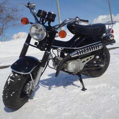 スズキ バンバン RV50 の画像