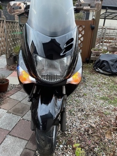 決まりました　マジェスティ　125  F1 後期