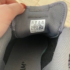 靴/バッグ 靴 スニーカーの画像