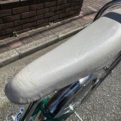 ほぼ未使用 レインボー ビーチクルーザー 20インチの画像