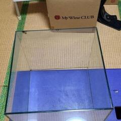 30cmキューブ水槽の画像