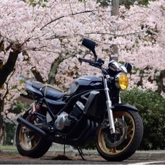 バイク カワサキ　バリオス2の画像