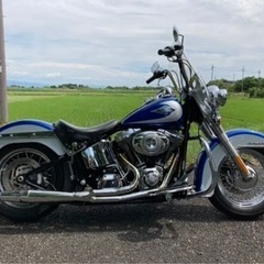 美車☆車検R6.9 15,700km ハーレーダビッドソン 2010 FLSTC 1580 社外マフラー ノーマル部品有 検 FLSTCの画像