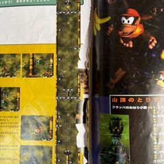 スーパードンキーコング2 任天堂公式ガイドブックの画像