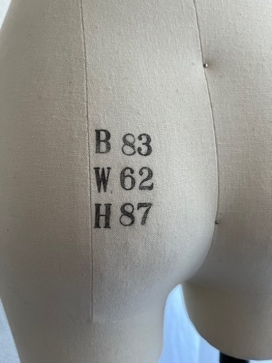 ヌードボディ/トルソー