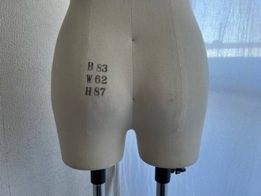 ヌードボディ/トルソー