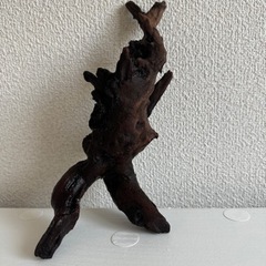 流木、インテリアの画像