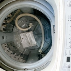 東芝 2013年製洗濯機の画像