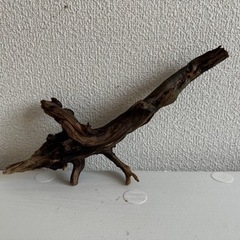 流木、インテリアの画像