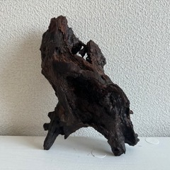流木、インテリアの画像