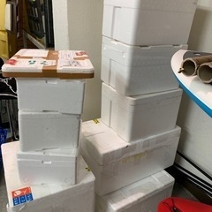 メダカ等　発送用発泡スチロール