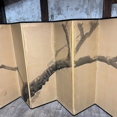 桜の木　屏風