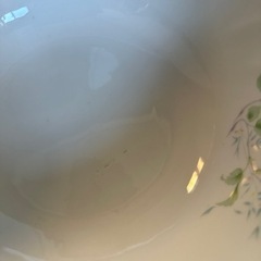 サラダボウル大の画像