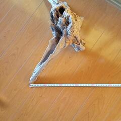 お取り引き中!!流木の画像