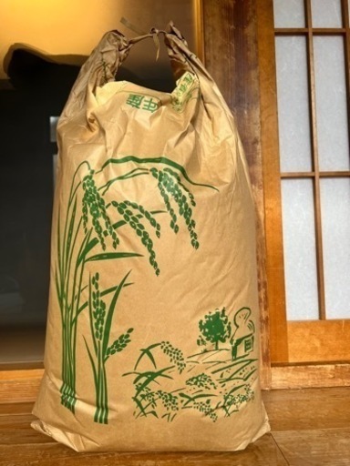 令和5年度産　コシヒカリ　玄米30キロ