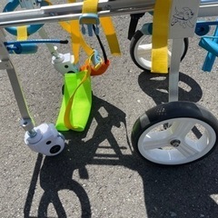 ワンチャン用　散歩　補助具の画像