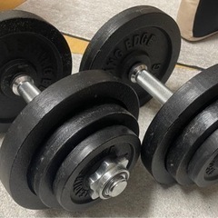  ダンベルセット　20kg×2  スポーツ フィットネス、トレーニングの画像