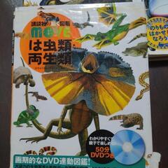 図鑑4冊の画像