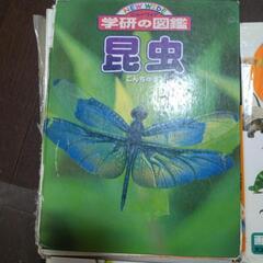 図鑑4冊の画像