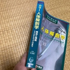 カラー　人体解剖学の画像
