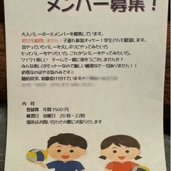 皮 バレーボール メンバー募集⭐︎急募!!