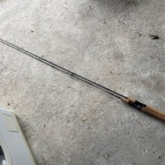 ダイワ DAIWA 釣り竿 ロッド PROCASTER-S 62...