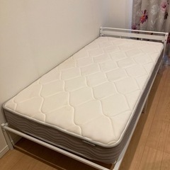 シングル パイプベッド ニトリ バジーナC2