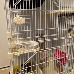【お譲り先決定しました】猫用ゲージ（コンパクト・2段）の画像