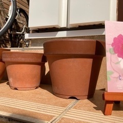 植木鉢①さしあげますの画像