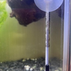 水槽など飼育用品の画像