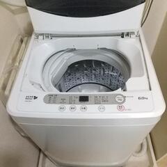 家電 生活家電 洗濯機