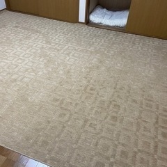 カーペット2枚セット５０００円